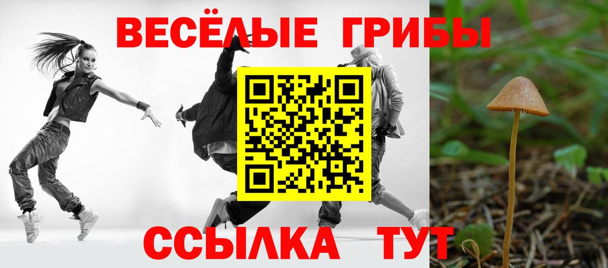 Псилоцибиновые грибы Magic Shrooms  Вход с VPN  Кемерово 